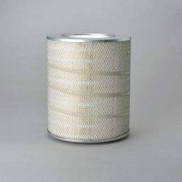 Filtro Aire Principal