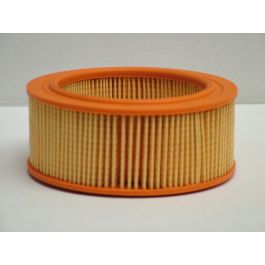 Filtro Aire Principal