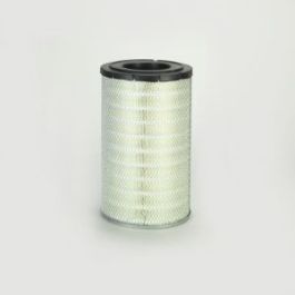 Filtro Aire Principal