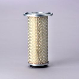 Filtro Aire Principal