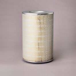 Filtro Aire Principal