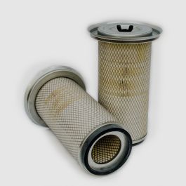 Filtro Aire Principal