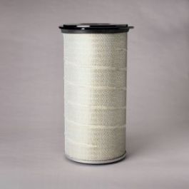 Filtro Aire Principal