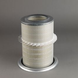 Filtro Aire Principal