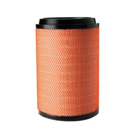 Filtro Aire Principal