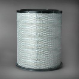 Filtro Aire Principal