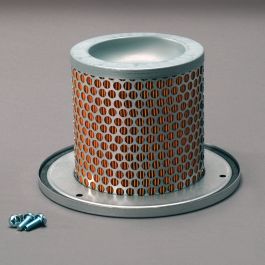 Filtro Aire Seguridad