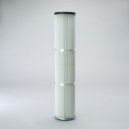 Filtro Aire Principal