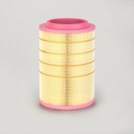 Filtro Aire Principal