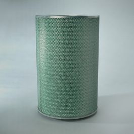 Filtro Aire Principal