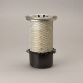 Filtro Aire Principal