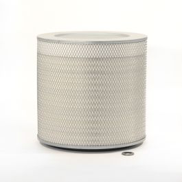 Filtro Aire Principal