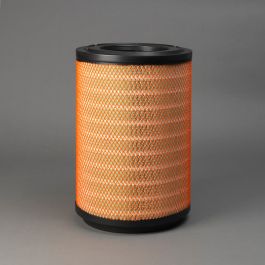 Filtro Aire Principal