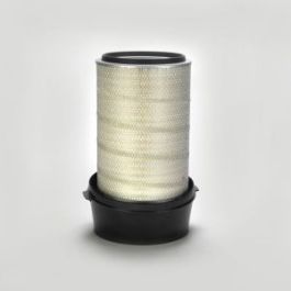 Filtro Aire Principal