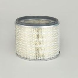 Filtro Aire Principal