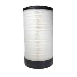 Filtro Aire Principal